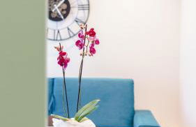 Vietti Apartments - Foto 13