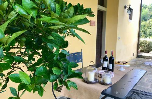 Agriturismo Podere Filicaia - Foto 49