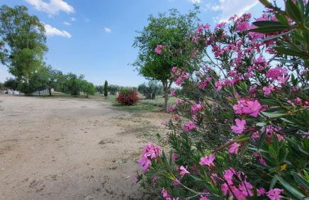 Hostal Restaurante San Martin de Montalban - Foto 78