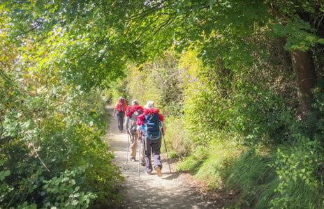 Ferienwohnung-La Casa - Foto 18