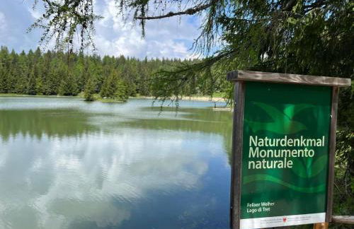 Apartment Panorama Val di Non - Foto 29