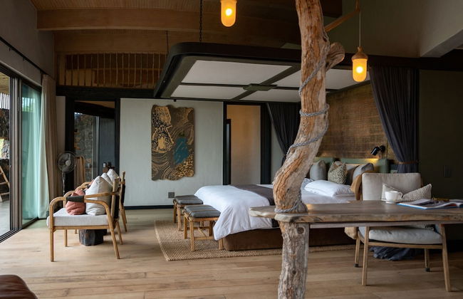 Euphorbia Mashatu - Foto 3