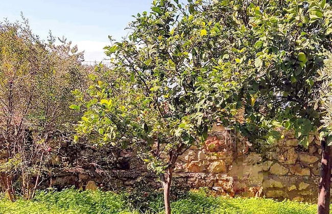 Villa Eleni - Garden Pool Retreat Near Kardamili - Foto 33