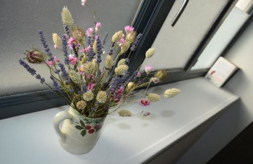 La Griotte - Studio tout confort - Lyon - Tassin - Foto 12