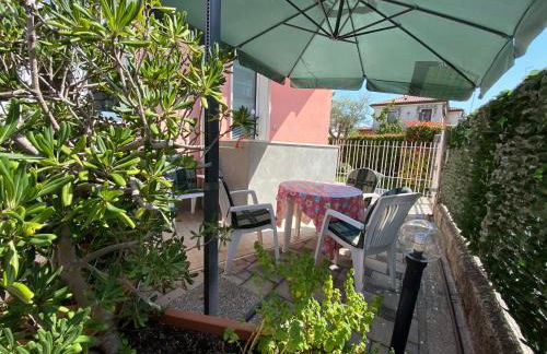 Eco Venice - Foto 22