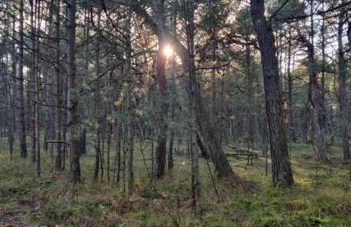 Your Private Hytte - Foto 25