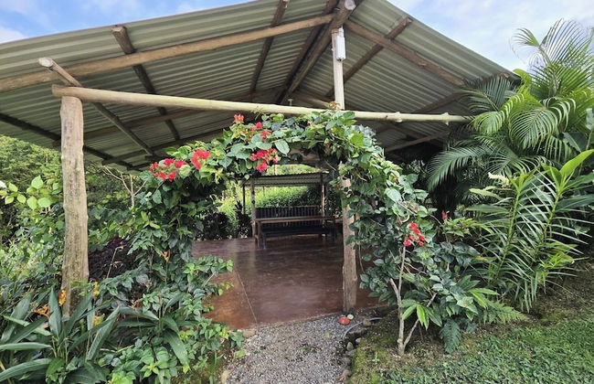 Cabañas Caeli, Peaceful Rainforest Retreat with Stunning Views - Foto 20