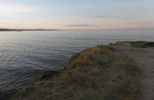 O Petit Bonheur - Photo 30