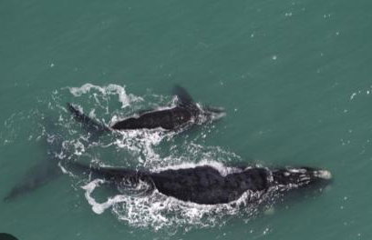 Casa praia - Foto 17