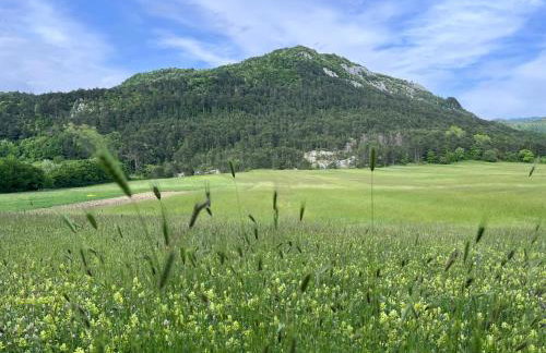 Apartment Vista - Foto 47