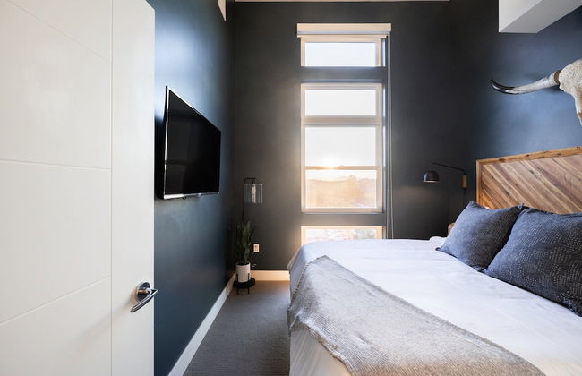 Bold & Elevated | Espadin LoHi - Foto 4