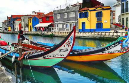 Bird’s Home - Foto 53