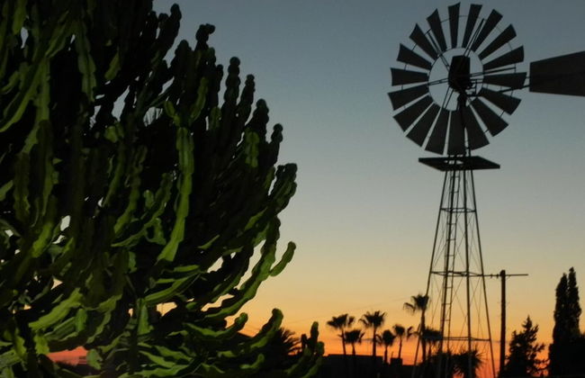 Napa Prince Hotel Apartments - Foto 65