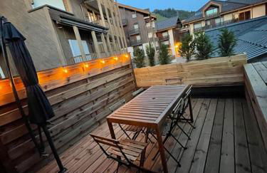 Duplex les Myrtilles LES CARROZ centre station - Photo 1