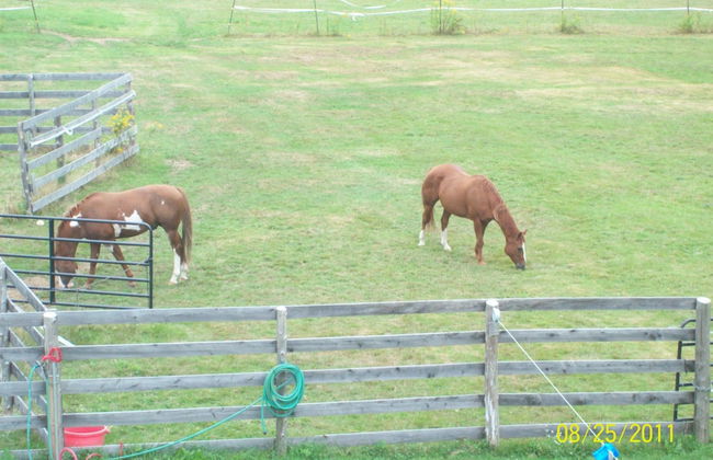 Denmark Stage Stop House - Photo 73