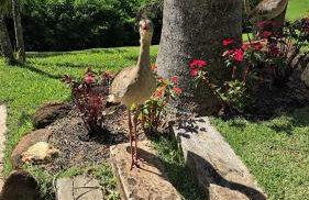 Casa de Campo Bh, Lindíssima, Sofisticada, Privativa, lazer, Completa - Foto 56
