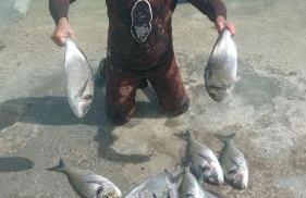 Holiday Home By The Sea--Bougainvillea - Foto 30