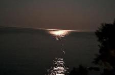 Dinas Inn - Photo 47