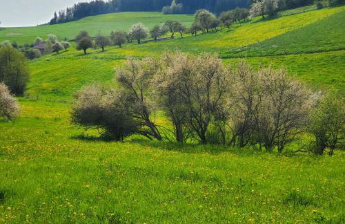 Ferienwohnung Zum Grünen Berg - Foto 18