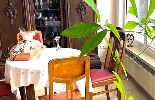 Junkerath Romantic Garden Stay - Foto 12