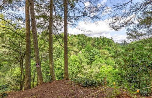 Hemlocks Over Muir in Rogers KY - Hot Tub & WiFi - Foto 23