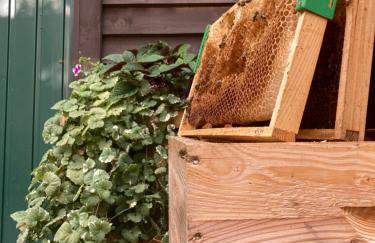 Dom Gościnny Zarembianka - Foto 64