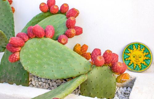 Duca d'Aosta Terrace, Skypool & Sauna - Foto 44