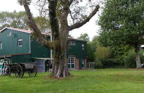 Ferienwohnung Weideglück - Foto 2