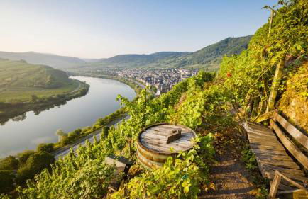 Mosel-Herz Trier Ferienhaus - Foto 26