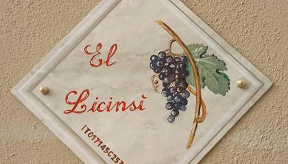 El Licinsì - Foto 3