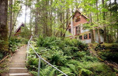 Treetop Hideaway, Sleeps 2 - Foto 54