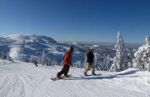 Appartement Col de la Faucille - Foto 38