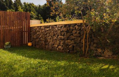 Palmtree 37 Al - Photo 10