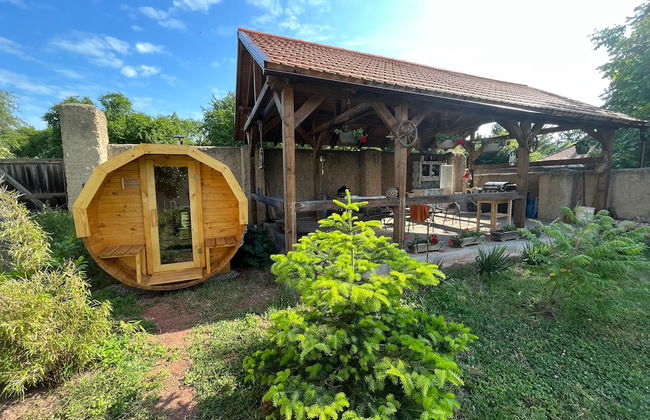 Pension Zelený grunt - Photo 32