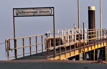 Mühlentraum - Foto 28