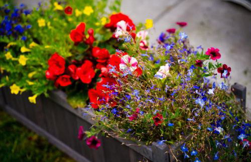 Number 19 Heart Of The Glens - Foto 26