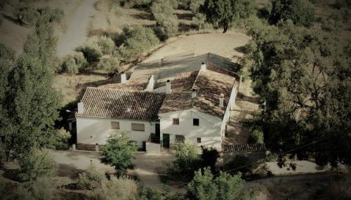 Mesoncillo NEO - Foto 1