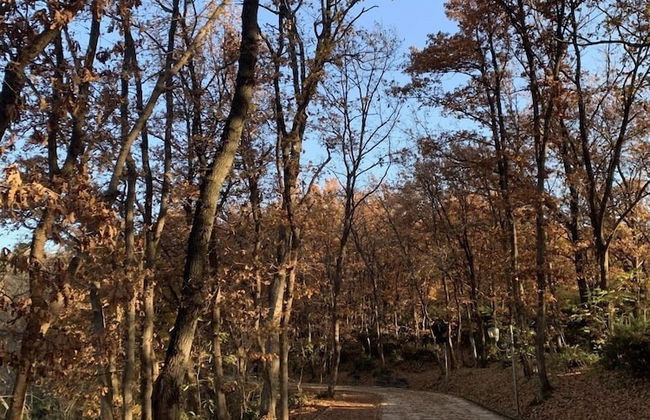 Florenc's Apartment - Foto 41