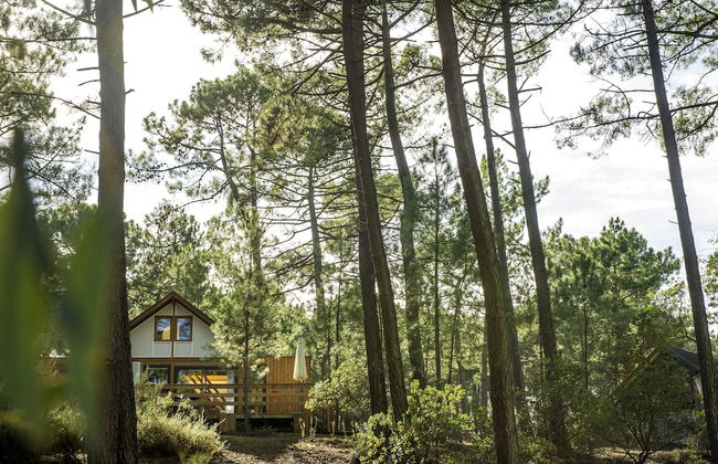 Les Oyats Sylvadoures - Foto 2