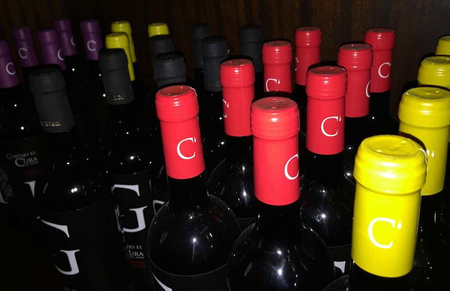 Tour in Láujar de Andarax - Foto 7