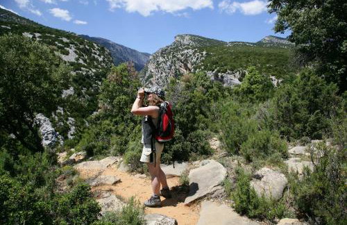 Apartamentos Casa Sanz - Foto 56