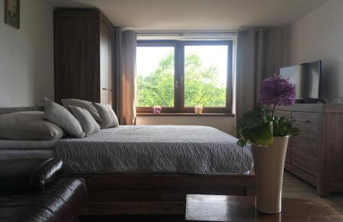 Czytelnia w Sadzie - Foto 14