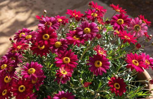 House of Memories ETV 12047 - Foto 33