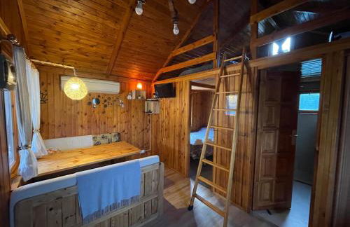 Can Cabris - Photo 8