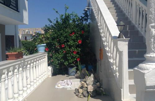 Dina Studios - Photo 35