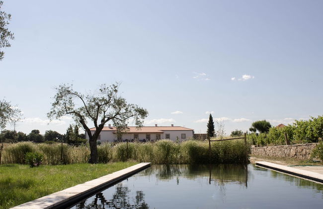 Quinta dos Carvalhos - Foto 20