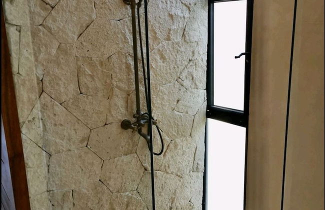 Jungle Penthouse - Photo 15