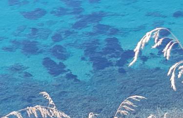 Petra Marina Home - Foto 48