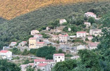Casa Arena Authentique maison de village avec piscine au cœur de l’Alta Rocca - Zoza - Foto 59