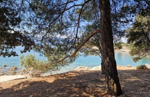Pinezići apartman Niccole - Foto 39